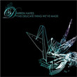 This Delicate Thing We've Made (2007)
