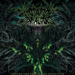 Before The Throne Of Infection (2008)