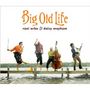 Big Old Life