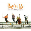 Big Old Life (2007)