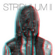 Stridulum 2 (2010)