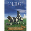 Gotthard (1992)
