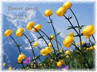 coucoumiss
