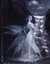 moonlight-shadow