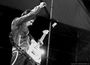 MuseCheers