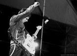 MuseCheers