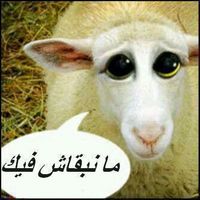 yassou