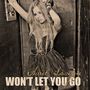Won't Let You Go