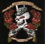 Guns N' Roses(2)