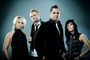 fanderock38