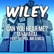 Can You Hear Me 