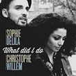 What Did I do (Ft. Christophe Willem)