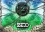 Zedd