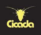 Cicada