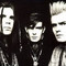 The Cult