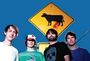Animal Collective