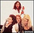 Army Of Lovers