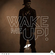 Wake Me Up (ft Aloe Blacc)