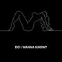 Do I Wanna Know