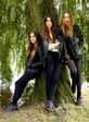 Haim