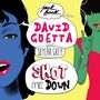 Bang Bang - Shot me Down (Feat. Skylar Grey)